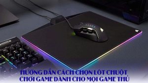 lót chuột