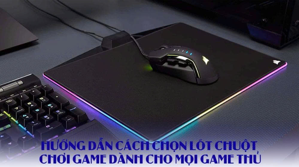 lót chuột 