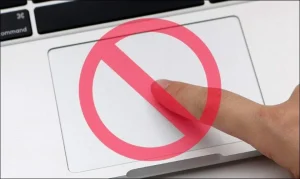 Pad chuột laptop bị đơ
